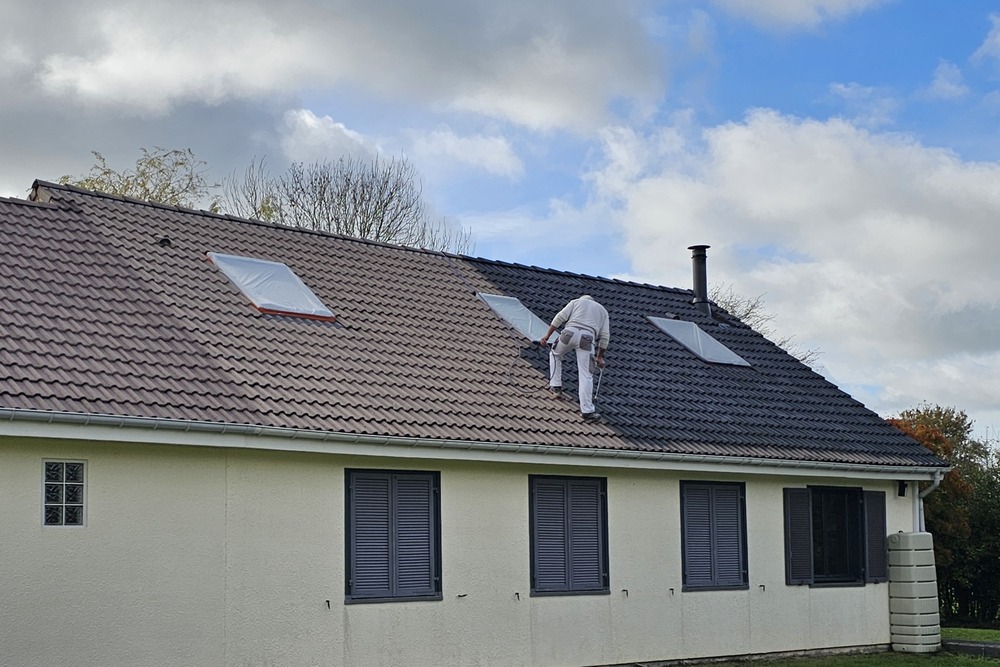 peinture sur toiture